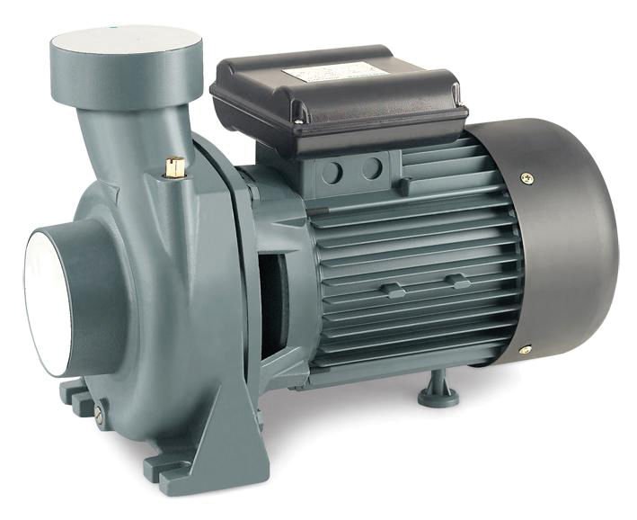 RAINPUMP SHFM6CR SANTRIFUJ POMPA