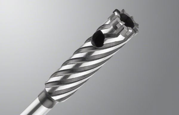 Bosch - Plus-9 Serisi, Donatı Kesici Rebar Cutter Kırıcı Delici Matkap Ucu 32*300 mm 2608587100